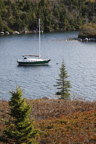 Like a postcard at Rogues Roost