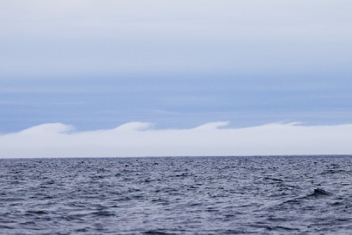 Crazy wave shaped clouds! Any ideas anyone?