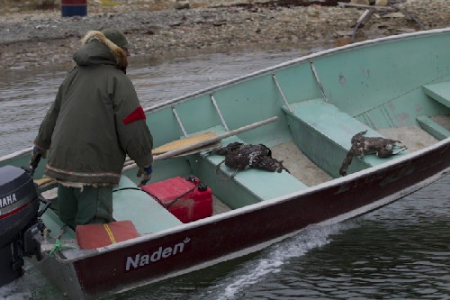 Doug and his awesome Loon cushions