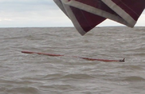 Random tree trunk bobs past - a real danger in the mackenzie river area here