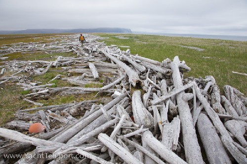 so much drift wood and floats