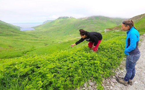 Danielle taking us around town