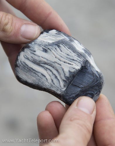 Petrified fossilised wood