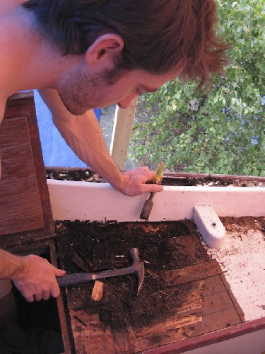 Chris cutting out the bad/wet/rotten wood from the cockpit