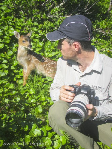 Baby deer that came up to us - Click for full-size.