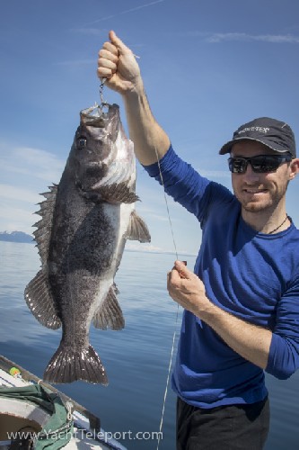 Big rockfish that lasted us 12 meals - thanks fish! - Click for full-size.