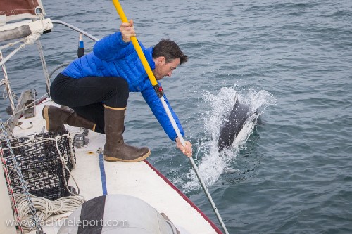 Chris filming dalls porpoises wusing gopro on a stick